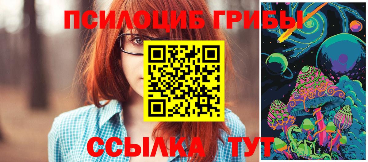 Псилоцибиновые грибы Cubensis Вичуга