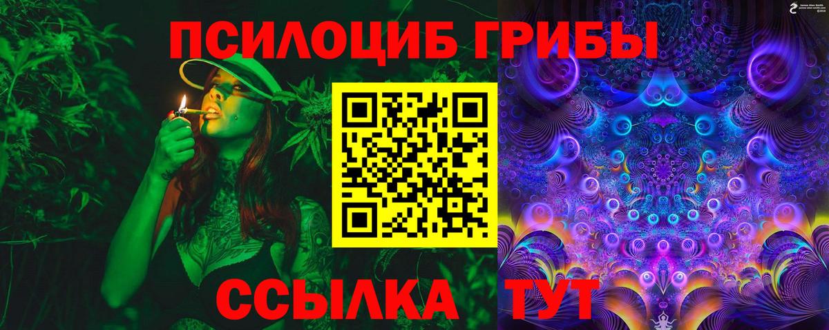 Псилоцибиновые грибы ЛСД  наркошоп  Вход с VPN  Вичуга  Псилоцибиновые грибы Magic Shrooms 